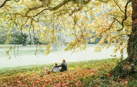 Father with son walk with beagle dog and enjoy warm autumn dayの写真素材