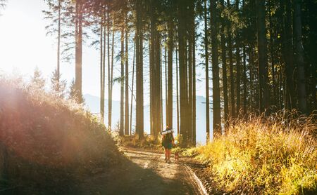 Alone female with her family member beagle dog walking by the trekking path with backpack under the evening sunlight.の写真素材