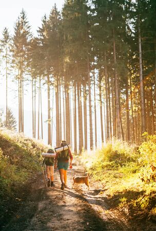 Mother and son with their family member beagle dog walking by the trekking path with backpacks under the evening sun light.の写真素材
