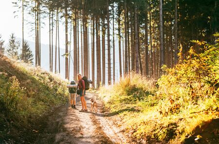 Mother and son with their family member beagle dog walking by the trekking path with backpacks under the evening sun light.の写真素材