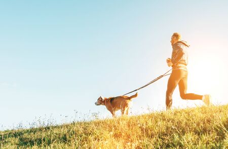 Canicross exercises. Man jogging with his beagle dog at sunny morningの写真素材