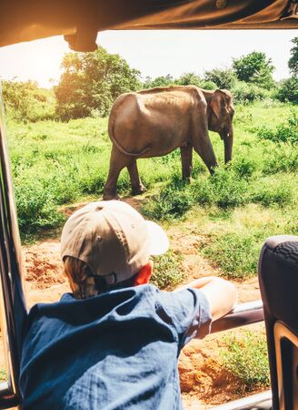 Little tourist boy looking at elephant calf and enjoying safari activities at  National Nature Park Udawalawe in Sri Lankaの写真素材