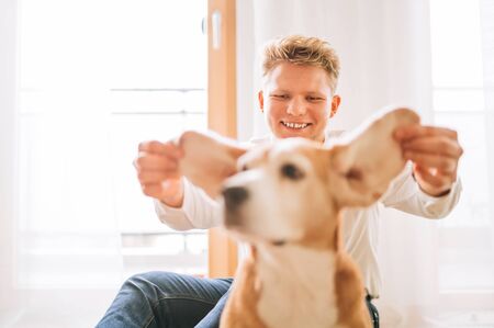 Sincerely laughing young man sitting on the floor and fooling around with his beagle dog ears.の写真素材