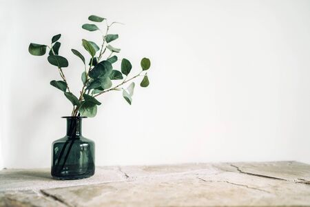 Green tree Branch putted into black glass vase on the natural stone mantel shelf on the white color wall background lit with side window light. Cozy home decor elements concept image.の写真素材