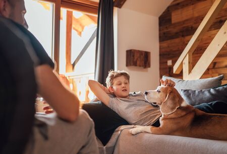 Cozy family tea time. Father and son at the home living room. Boy lying on comfortable sofa and  stroking their beagle dog and smiling. Peaceful family moments concept image.の写真素材