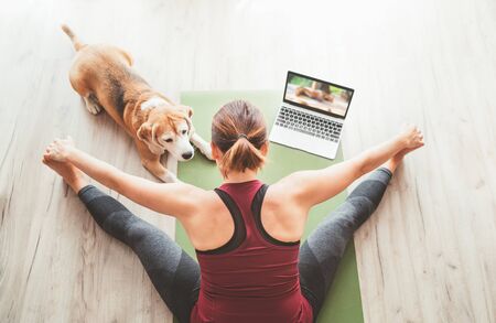 Top view at fit sporty healthy woman sit on mat in Upavistha Konasana pose, doing breathing exercises, watching online yoga class on laptop computer. Her beagle dog keeping company next on the floor.の写真素材