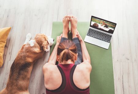 Top view at fit sporty healthy woman sit on mat in Paschimottanasana pose, doing breathing exercises, watching online yoga class on laptop computer. Her beagle dog keeping company next on the floor.の写真素材