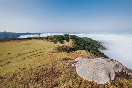 Breathtaking view at mountain plateu near Fanal with clouds covering Atlantic Ocean surface on the Portuguese Madeira island. Trekking Around the world traveling with kids concept image.の写真素材