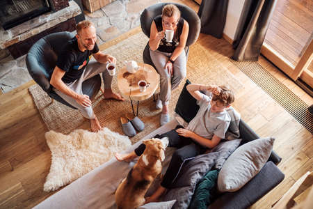 Father, mother and son at the home living room. Boy lying in comfortable sofa and stroking their beagle dog and smiling. Peaceful family moments concept image. Cozy family tea time.の写真素材