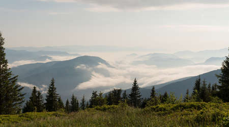 Stunning morning landscape view of the fog river flowing by the valley between the mountains. Mala Fatra mountains, Slovak Republic.の写真素材
