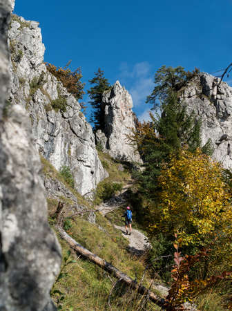 Young hiker backpacker woman on the hiking path having a mountain walk using trekking poles enjoying autumn nature with huge picturesque clifs, Slovakia. Active people in nature concept image.の写真素材