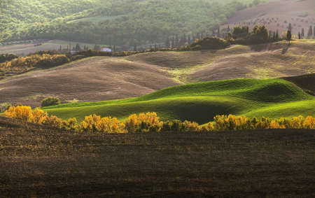 Early morning beautiful Tuscany hills  landscape view with plowed and green grass covered wavy fields. Sunrise light covering the meadows and fields making a magic light-shadows playing.の写真素材