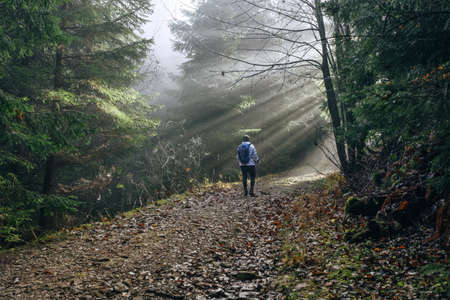 Woman with backpack have a forest walk using a  trekking poles. She walking by the forest path with trees tunnel and magical sun beams shinning through the branches. Active people concept image.の写真素材