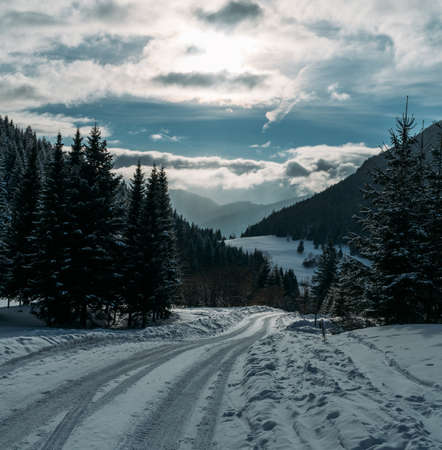 Winter snowy landscape view of a countryroad leading through spruce mountain forest in Slovakian Low Tatry mountains.の写真素材