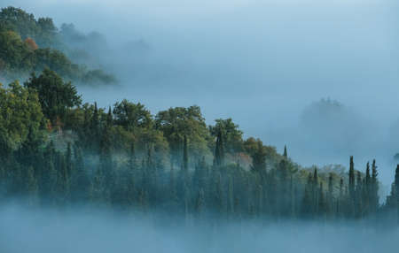 Early morning beautiful Chianti region, Tuscany hills misty landscape view. Spruce and cypress trees sinking in foggy clouds on the mountain slopes. Florence province, Italy.の写真素材