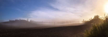 The alley of cypress trees on the covered with mist meadows and fields shooted in the early foggy morning at Tuscany region, Italy. Wide-angle beautiful view shotの写真素材