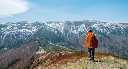 Dressed bright orange jacket backpacker walking by blueberry field using trekking poles with mountain range background, Slovakia. Active people and European mountain hiking tourism concept image.の写真素材