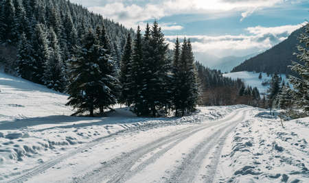 Winter snowy landscape view of a countryroad leading through spruce mountain forest in Slovakian Low Tatry mountains.の写真素材