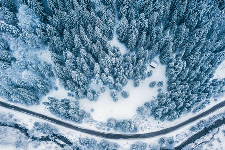 Aerial top view drone shot of the pine and spruce trees forest covered with snow in the Tatra...