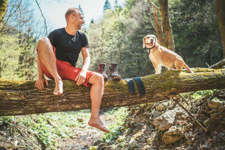 Middle-aged man sitting on the fallen tree log over the mountain forest stream and Smiling to beagle dog while he waiting for laundry drying and trekking boots. Traveling with pets concept image.の写真素材
