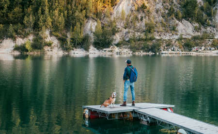 Walking in nature concept image. Male dog owner and his friend beagle dog on the wooden pier on the mountain lake during their together walking in the autumn season time. Human and pet concept image.の写真素材