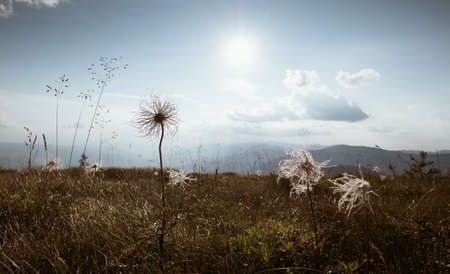 Early morning mountain meadow landscape with autumnal dry grass in the foreground. `Light and shadows playing picturesque image.の写真素材