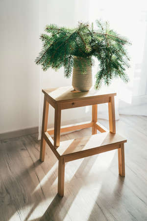 Wooden stool with the clay vase and spruce branches standing in the living room and lightened with a bright summer window light. Home furniture design elements and home sweet home concept.の写真素材