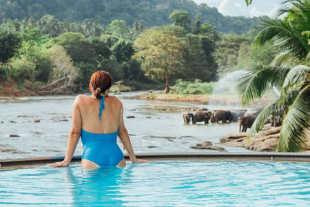 Woman relaxing in swimming pool and watching a Herd of Young elephants in river water hosing in...