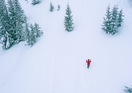Lonely female trekker dressed red jacket with trekking poles walking by snowy slope flying drone aerial shot with fir-trees covered snow, Low Tatra mountains, Slovakia. Beauty in Nature concept photoの写真素材