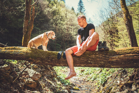 A middle-aged man sitting on the fallen tree log over the mountain forest stream with beagle dog while he waiting for laundry drying and trekking boots. Traveling with pets concept image.の写真素材