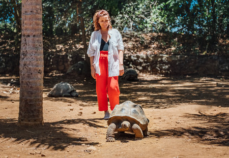 Smiling tourist woman watching Aldabra giant tortoise - one of the largest tortoises in the world in the zoo nature park on Mauritius island. Beauty in Nature and traveling concept.の写真素材