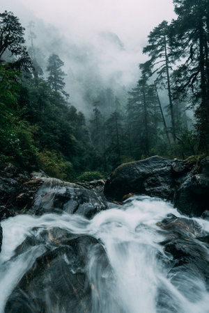 Powerful mountain creek running through the big boulders down the foggy rain forest jungles in Makalu Barun National Park near Chatra Khola settlement. Mera peak climbing route, Himalayas, Nepal.の写真素材