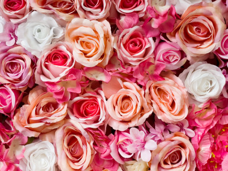 Symphony in Red, Pink, and White Roses. Colorful background of flowers. Design and fashion concept photo.の写真素材