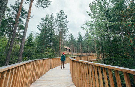 Young man tourist walking in Hamaren Activity Park wooden walkway. Walking path surraunded pine trees forest during late summer windy day. Traveling and beauty of Scandinavia concept.の写真素材