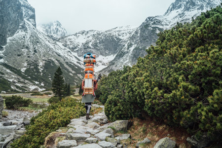 Strong man working as porter carrying huge cargo with traditional method for High Tatry region for altitude Mountain huts cargo provision delivery. Nature, transportation or goods delivery concept.の写真素材