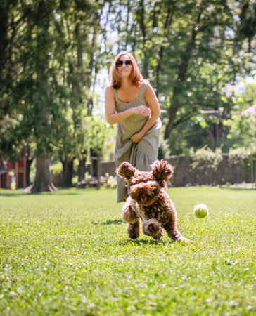 Joyful woman plays fetch with her energetic dog in lush park. Dog, captured mid-run with ears...