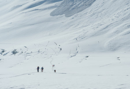 Tired alpinists snowy Lenin Glacier arriving Camp 2 at 5300m with vast sunny panoramic view of "Frying Pan" in Pamir mountains Plateau. Active people concept. Lenin peak expedition route in Kyrgyzstanの写真素材