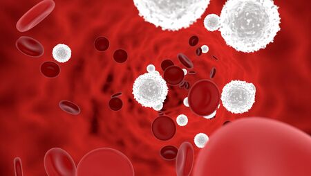 Representation of the cells in the blood, 3d illustrationの写真素材