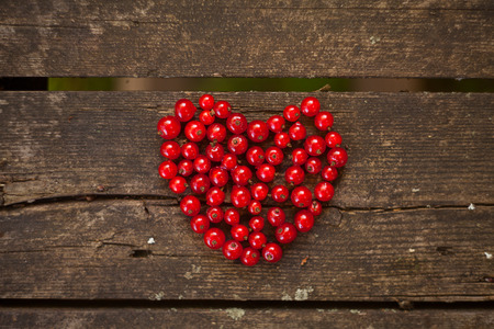 gentle background in vintage style with flowerの写真素材