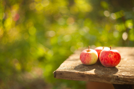 delicious red apples on the tableの写真素材