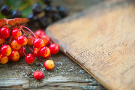 Autumn background with space for textの写真素材