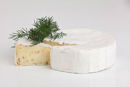Fresh brie cheese with white mold on a white background on table