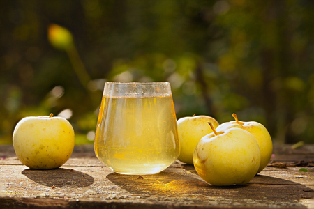 Delicious fresh squeezed apple juice in a transparent glassの写真素材