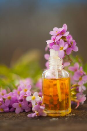 Essential oil of a Arabis flower on a table in a beautiful bottleの写真素材