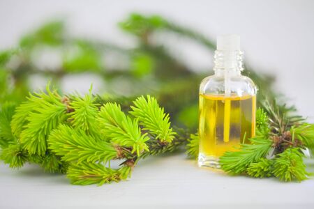 Essence of pine on a table in a beautiful glass jarの写真素材