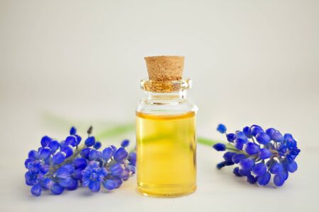 Essential oil of a muscari flower on a table in a beautiful bottleの写真素材