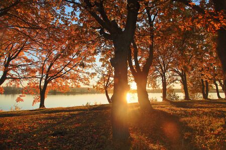 Beautiful autumn sunset over the lake in Russia