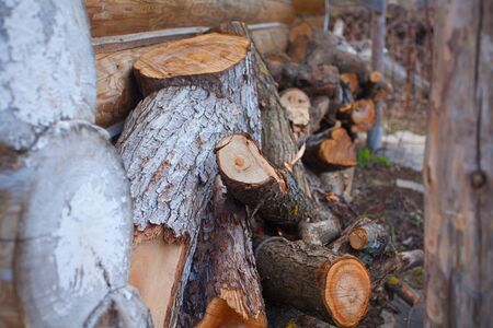 firewood of birch for the energy industryの写真素材