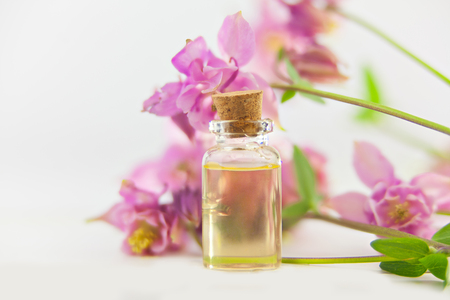 Essence of flowers on a table in a beautiful glass jarの写真素材