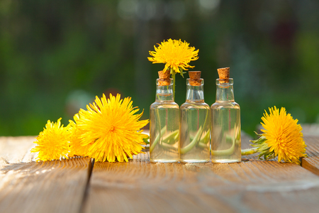 dandelion essential oil in a beautiful bottle on the tableの写真素材